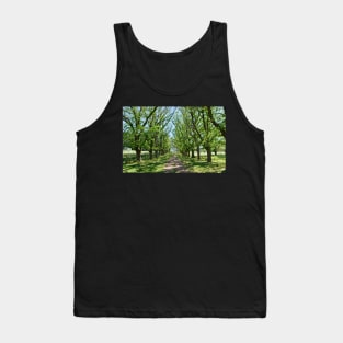 The Long Driveway in Spring Tank Top